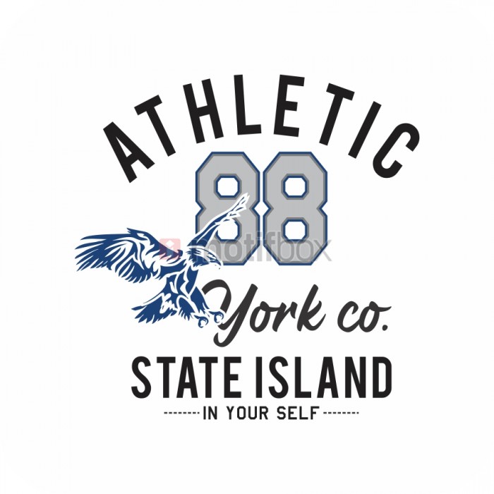 athletic 88 york