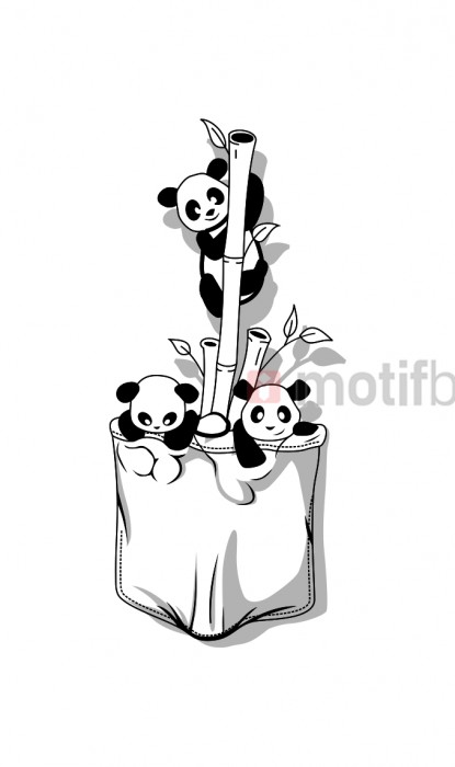 pocket pandas