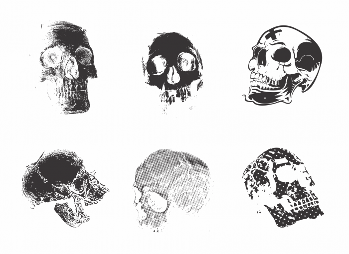 skull  clip art 