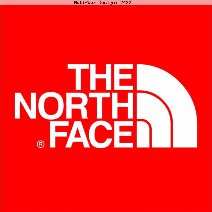 The North Face The North Face